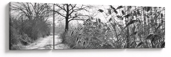 Obraz - Pole v zimě (170x50 cm)
