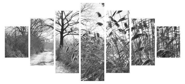 Obraz - Pole v zimě (210x100 cm)