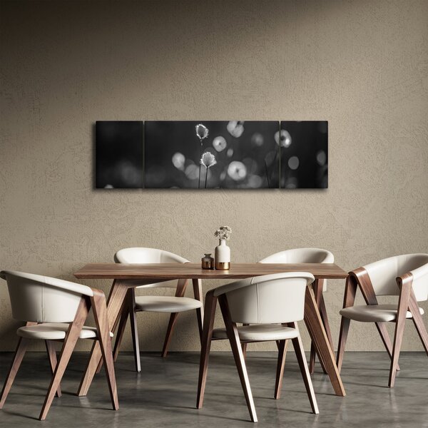 Obraz - Cottongrass na louce (170x50 cm)
