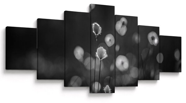 Obraz - Cottongrass na louce (210x100 cm)