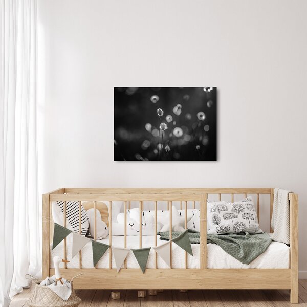 Obraz - Cottongrass na louce (70x50 cm)