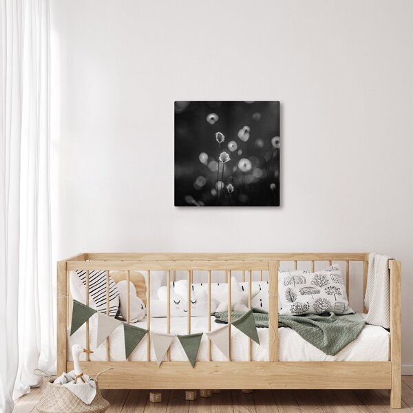 Obraz - Cottongrass na louce (30x30 cm)