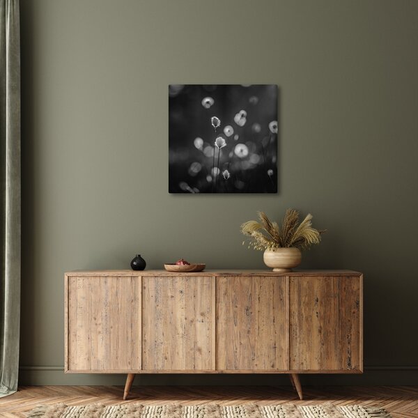 Obraz - Cottongrass na louce (30x30 cm)