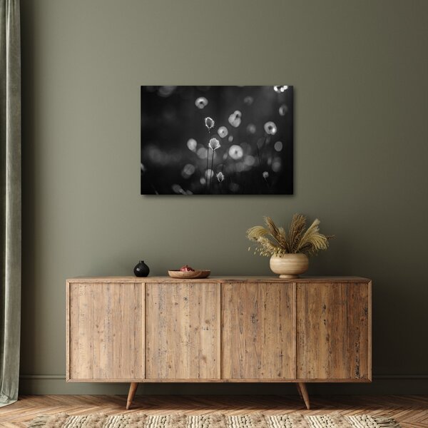 Obraz - Cottongrass na louce (70x50 cm)