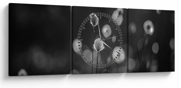 Obraz - Cottongrass na louce (s hodinami) (90x30 cm)