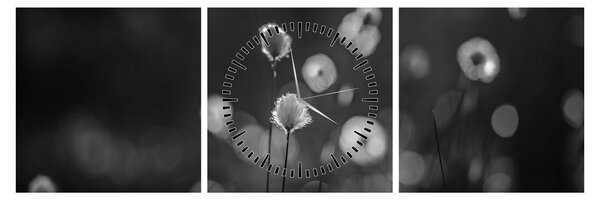 Obraz - Cottongrass na louce (s hodinami) (90x30 cm)