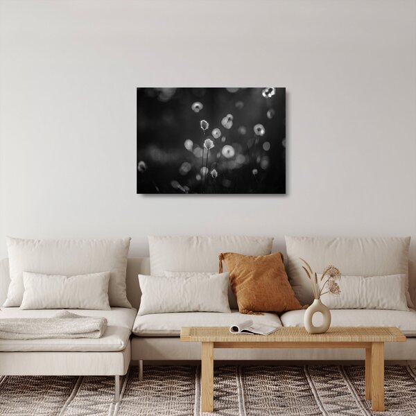 Skleněný obraz - Cottongrass na louce (70x50 cm)