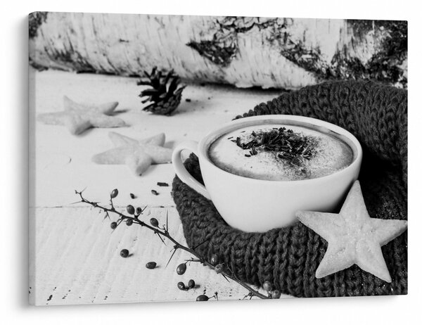 Obraz - Zimní cappuccino (70x50 cm)