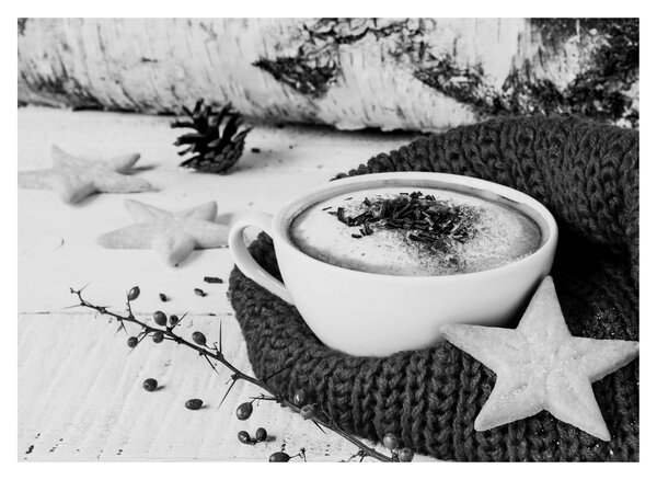 Obraz - Zimní cappuccino (70x50 cm)