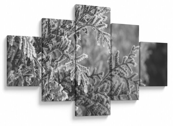 Obraz - Smrkový les (125x70 cm)