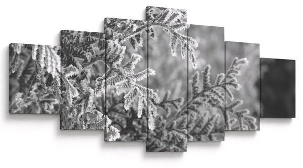 Obraz - Smrkový les (210x100 cm)