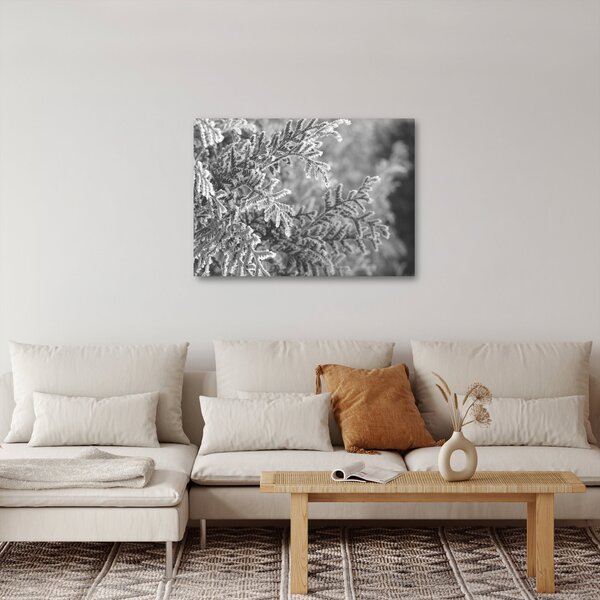 Obraz - Smrkový les (70x50 cm)