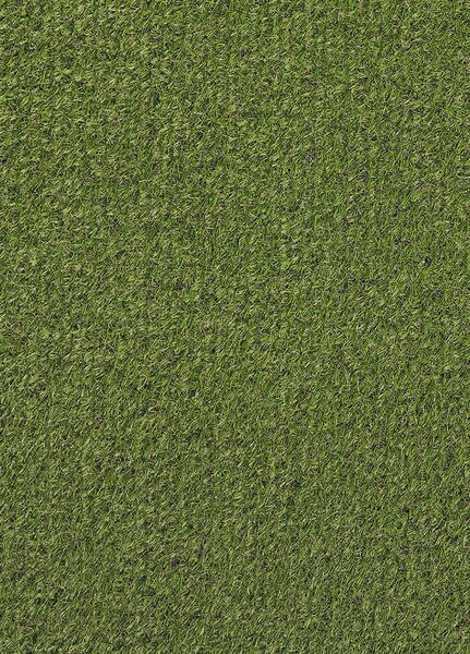 Breno Umělá tráva COCOON Lizard 6957, šíře role 200 cm, Zelená