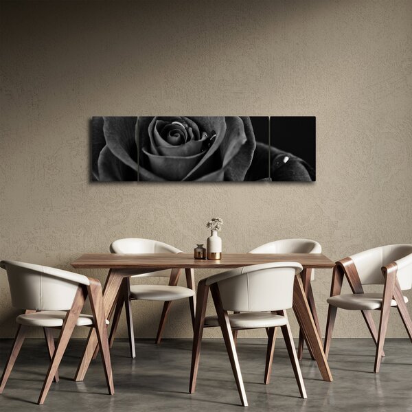 Obraz - Rudá růže (170x50 cm)