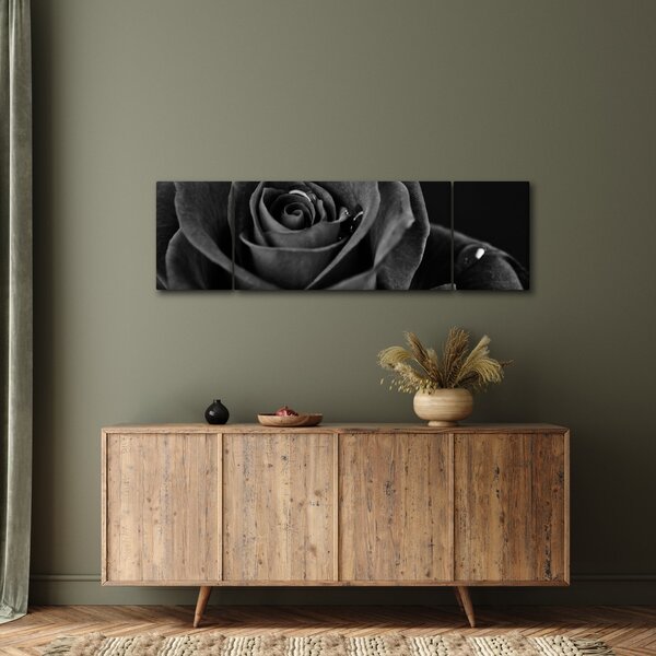 Obraz - Rudá růže (170x50 cm)