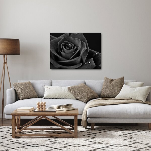 Obraz - Rudá růže (70x50 cm)