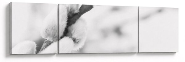 Obraz - Začátek jara (170x50 cm)