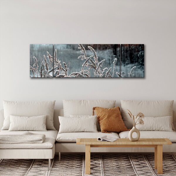 Obraz - Zamrzlá louka (170x50 cm)