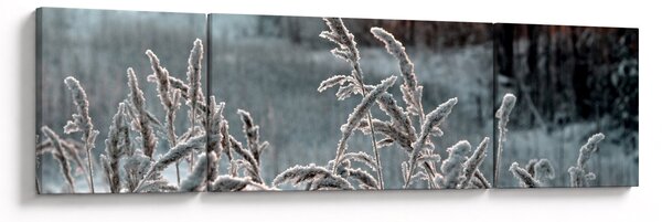 Obraz - Zamrzlá louka (170x50 cm)