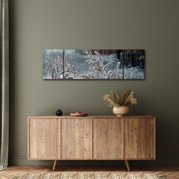 Obraz - Zamrzlá louka (170x50 cm)