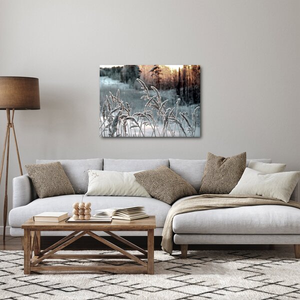 Obraz - Zamrzlá louka (70x50 cm)