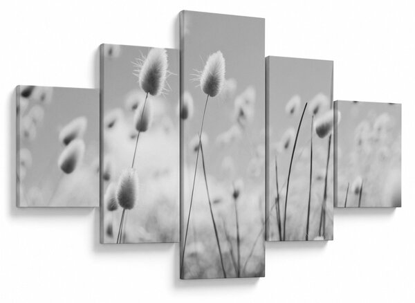 Obraz - Boho bunny tail grass (125x70 cm)