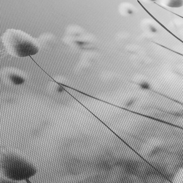 Obraz - Boho bunny tail grass (70x50 cm)