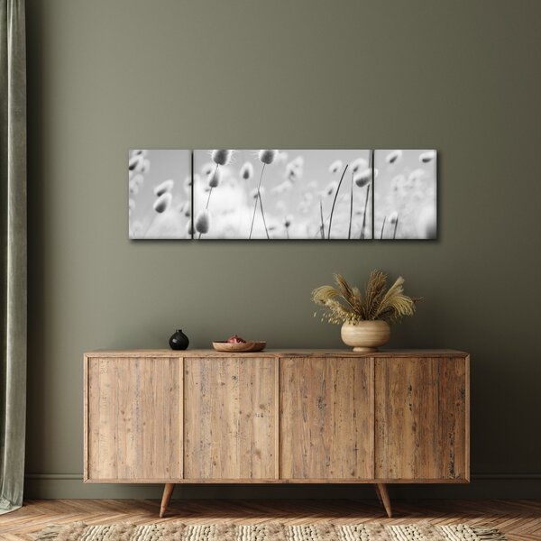 Obraz - Boho bunny tail grass (170x50 cm)