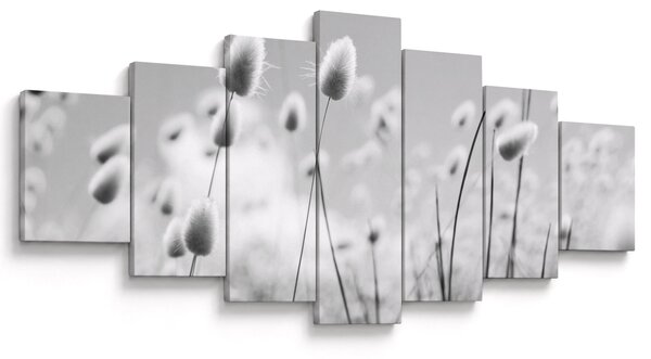 Obraz - Boho bunny tail grass (210x100 cm)