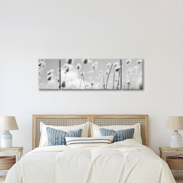 Obraz - Boho bunny tail grass (170x50 cm)