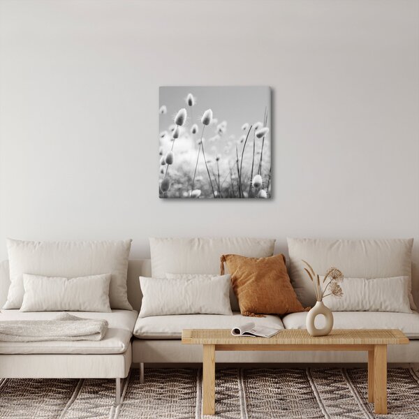 Obraz - Boho bunny tail grass (30x30 cm)