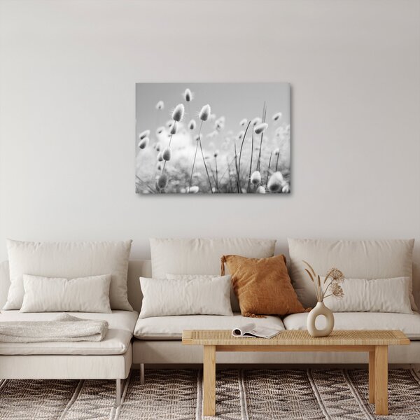 Obraz - Boho bunny tail grass (70x50 cm)