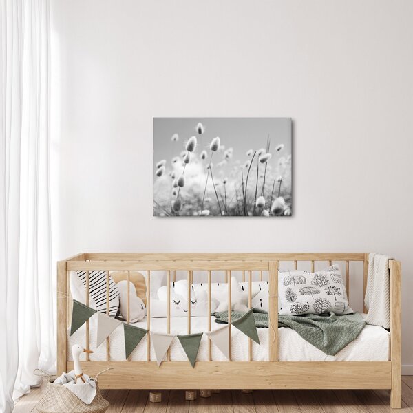 Obraz - Boho bunny tail grass (70x50 cm)
