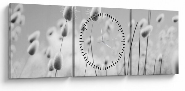 Obraz - Boho bunny tail grass (s hodinami) (90x30 cm)