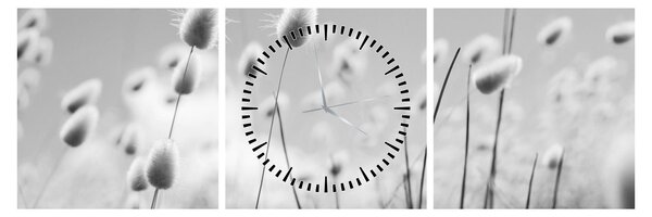 Obraz - Boho bunny tail grass (s hodinami) (90x30 cm)