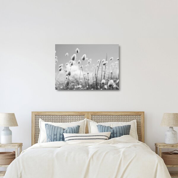Skleněný obraz - Boho bunny tail grass (70x50 cm)