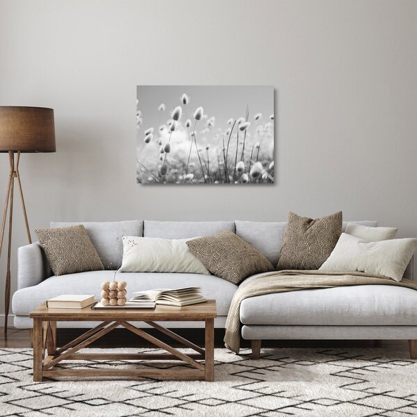 Skleněný obraz - Boho bunny tail grass (70x50 cm)