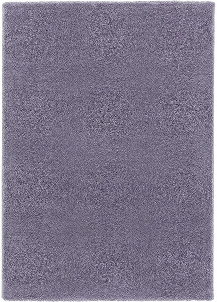 Breno Kusový koberec DOLCE VITA 01/LLL, Fialová, 80 x 150 cm