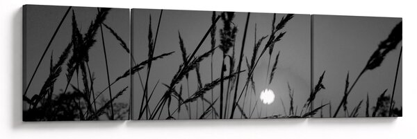 Obraz - Louka se západem slunce (170x50 cm)