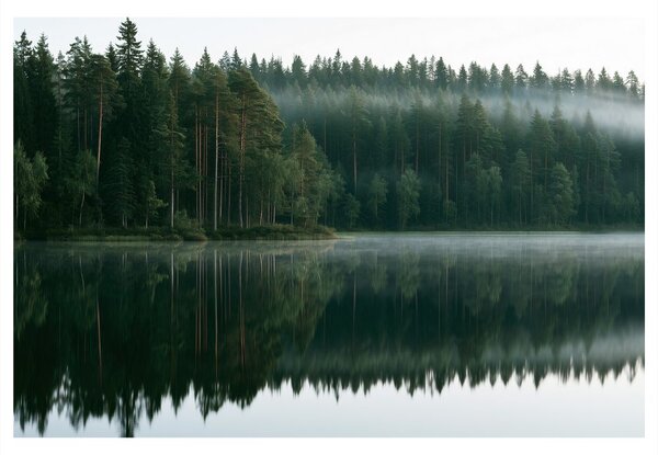Obraz mlžné jezero v lese