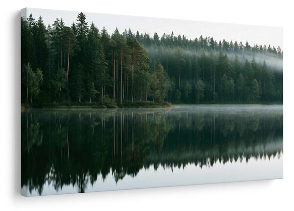 Obraz mlžné jezero v lese