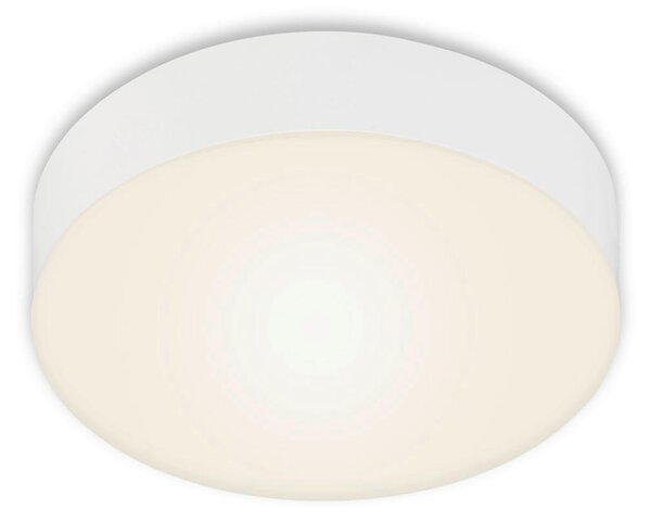 STROPNÍ LED SVÍTIDLO, 15,7/3,6 cm - Stropní svítidla