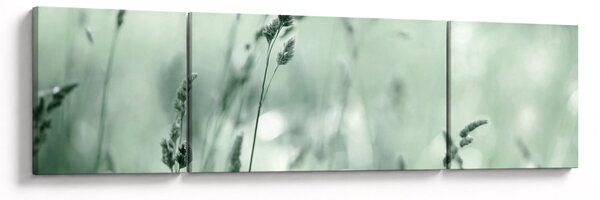 Obraz - Zelená louka (170x50 cm)
