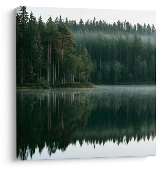 Obraz ranní opar nad jezerem