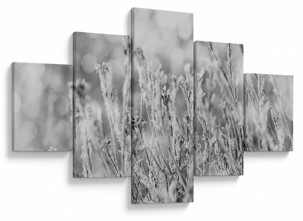Obraz - Chladná zima (125x70 cm)