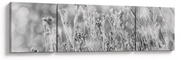 Obraz - Chladná zima (170x50 cm)