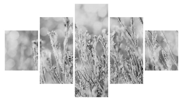 Obraz - Chladná zima (125x70 cm)