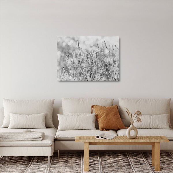 Skleněný obraz - Chladná zima (70x50 cm)