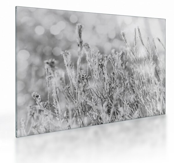 Skleněný obraz - Chladná zima (70x50 cm)