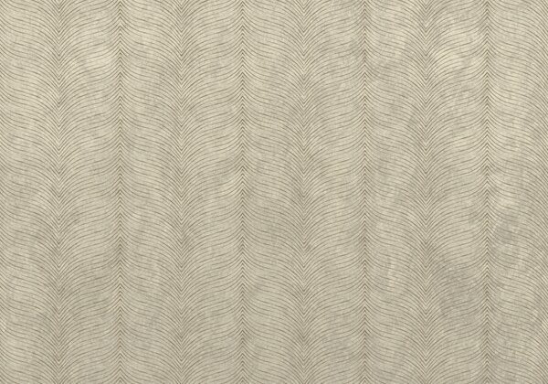 Fototapeta Elegantní vlnovité vzory na neutrálním pozadí, Geometrické fototapety, Populární fototapety, t00708 - Tapeko.co.cz
